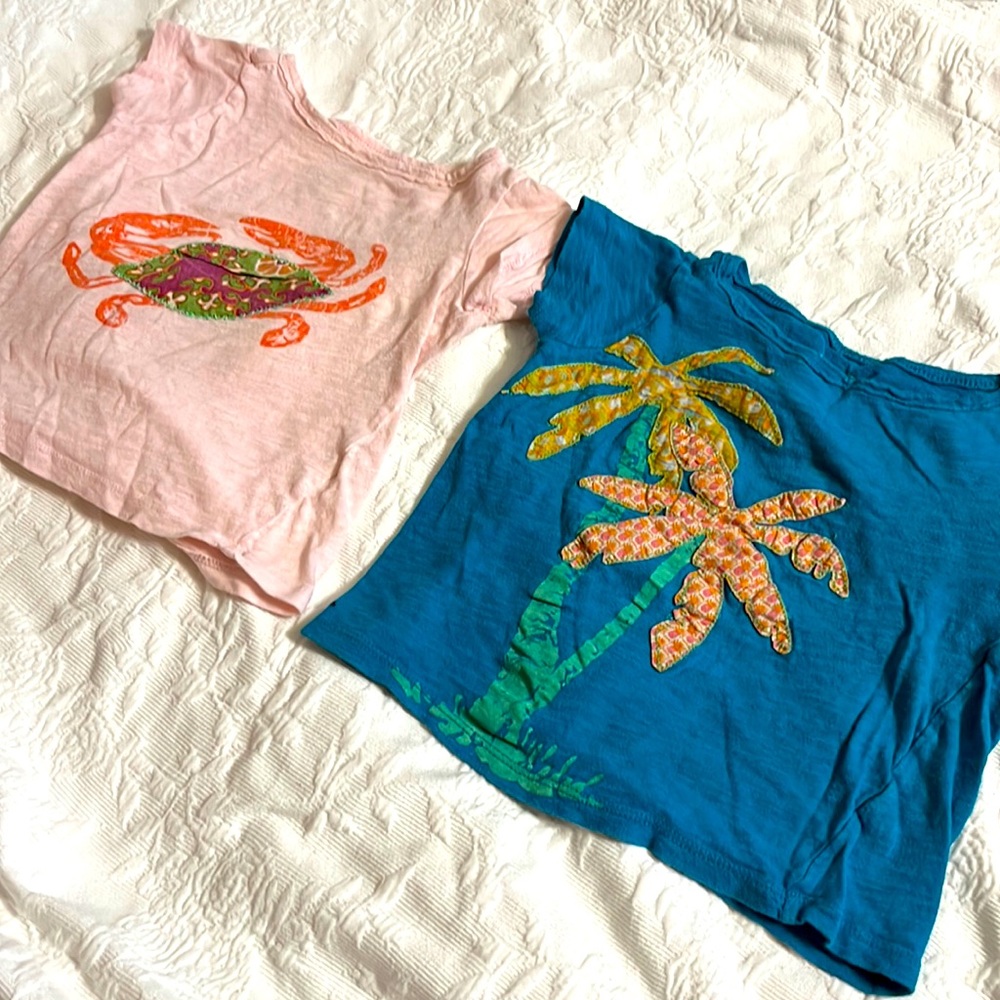 J.Crew Crewcuts short-sleeved appliqué tshirts size 3T